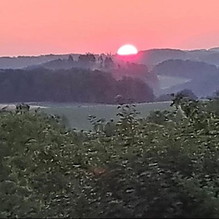 Ferienwohnung Und Monteurwohnung Matthies Naehe Koeln 30Km Kürten Kültér fotó