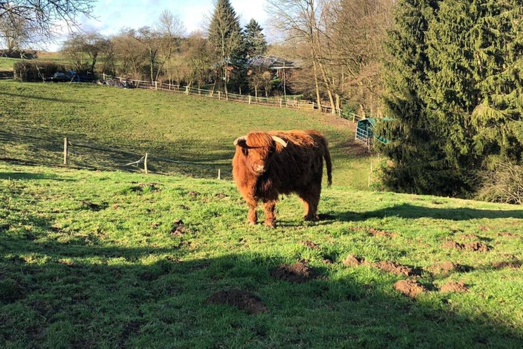 Ferienwohnung Und Monteurwohnung Matthies Naehe Koeln 30Km Kürten Kültér fotó